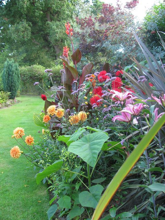 The Corner House Bed and Breakfast Rye Δωμάτιο φωτογραφία