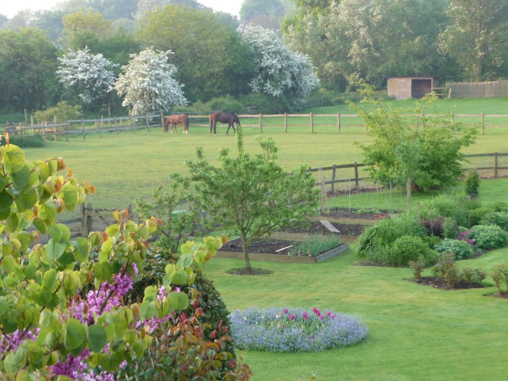 The Corner House Bed and Breakfast Rye Εξωτερικό φωτογραφία