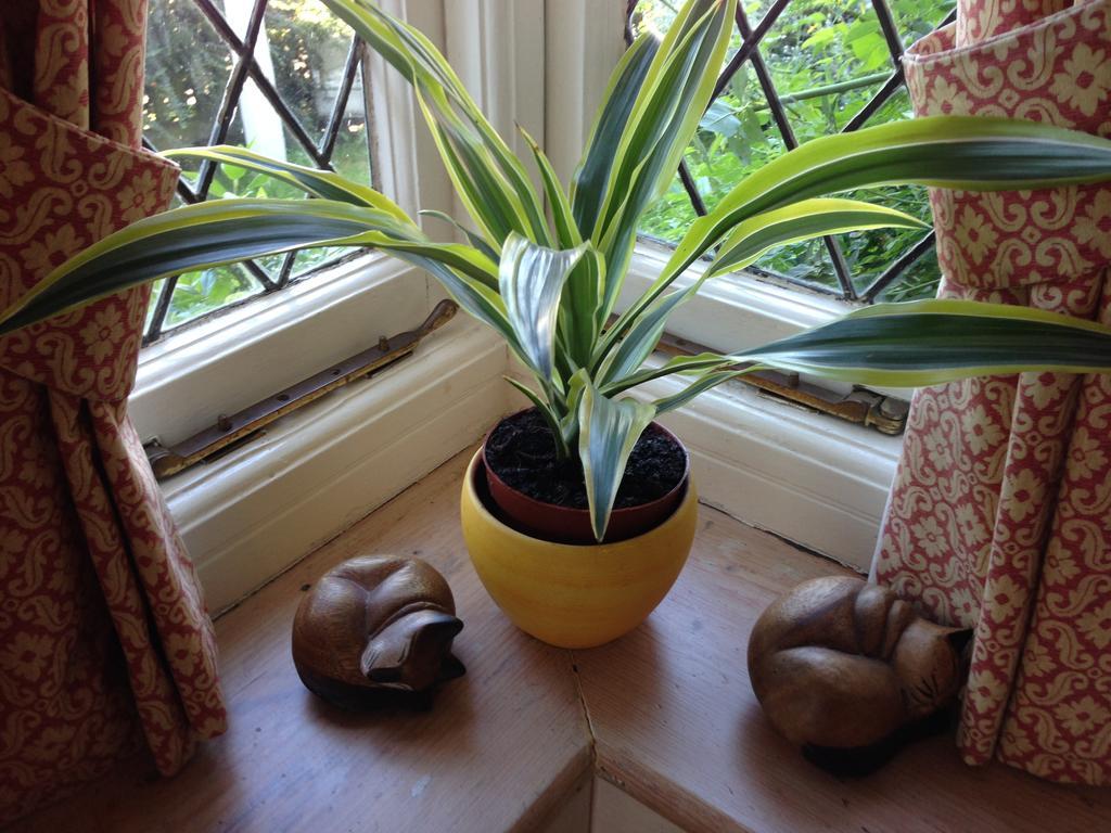 The Corner House Bed and Breakfast Rye Εξωτερικό φωτογραφία